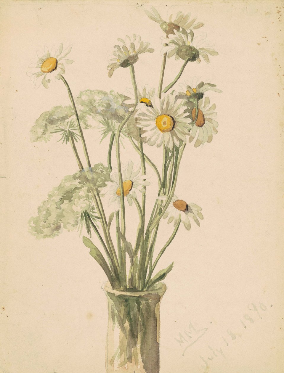 Margherite e fiori di pizzo della Regina Anna in un vaso, 1890 da Marietta Minnegerode Andrews