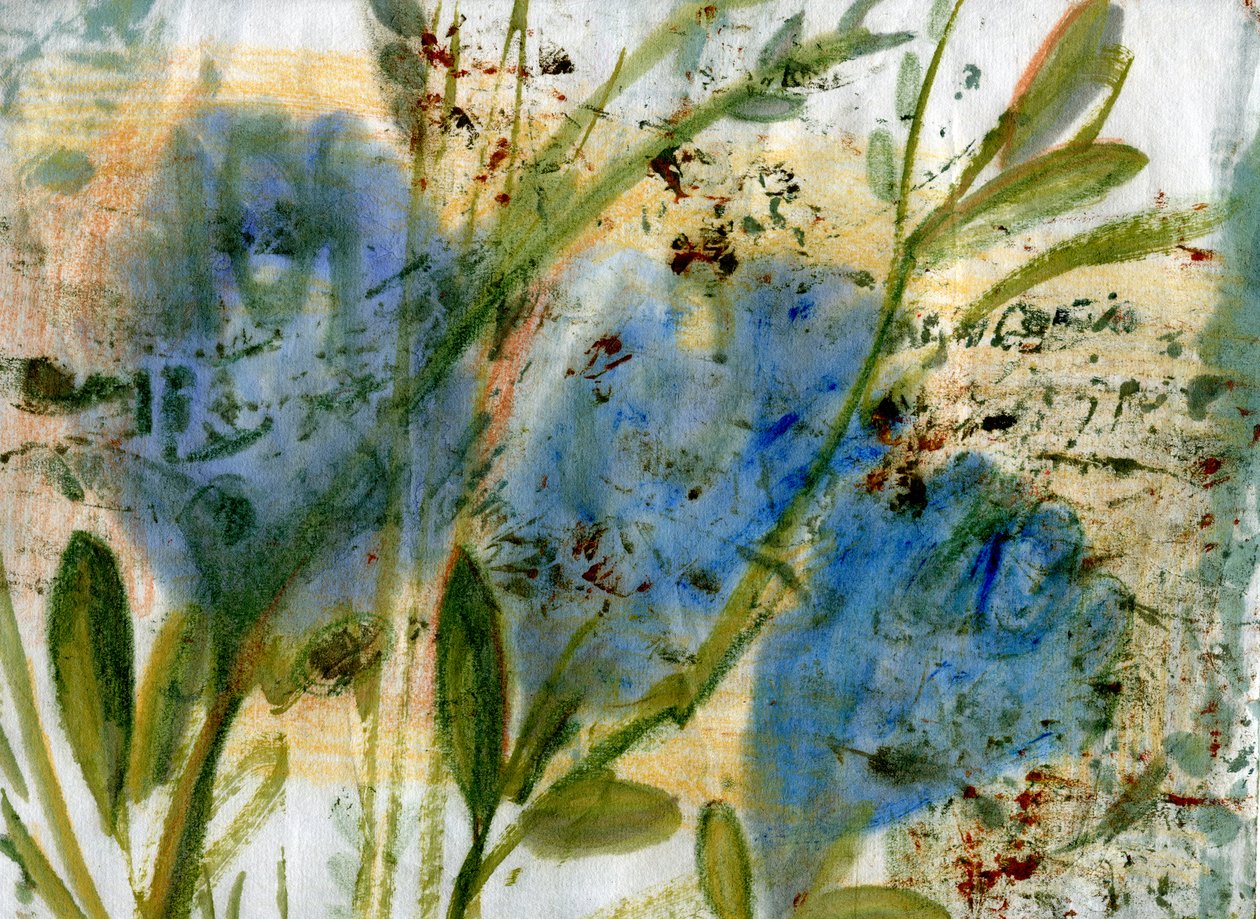 Fiori blu da Marina Falco