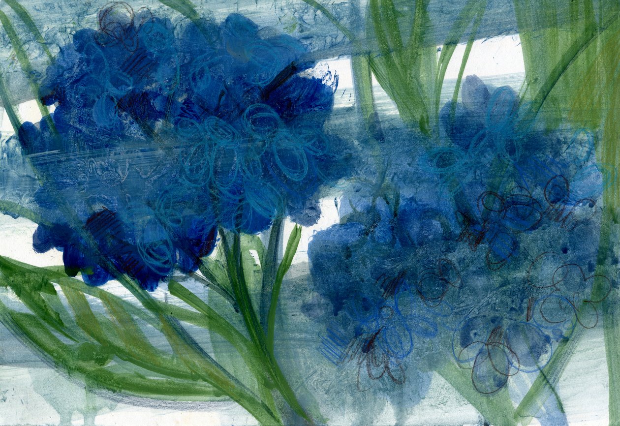 Ortensie blu, 2020 da Marina Falco