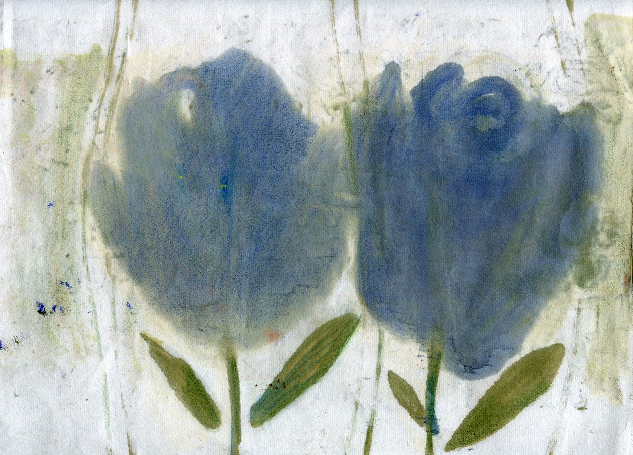 Tulipani blu da Marina Falco