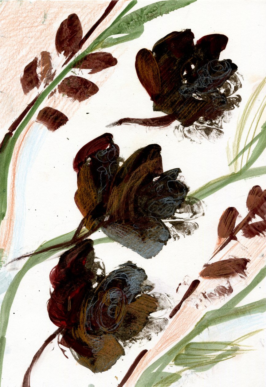 Fiori Secchi, 2020 da Marina Falco
