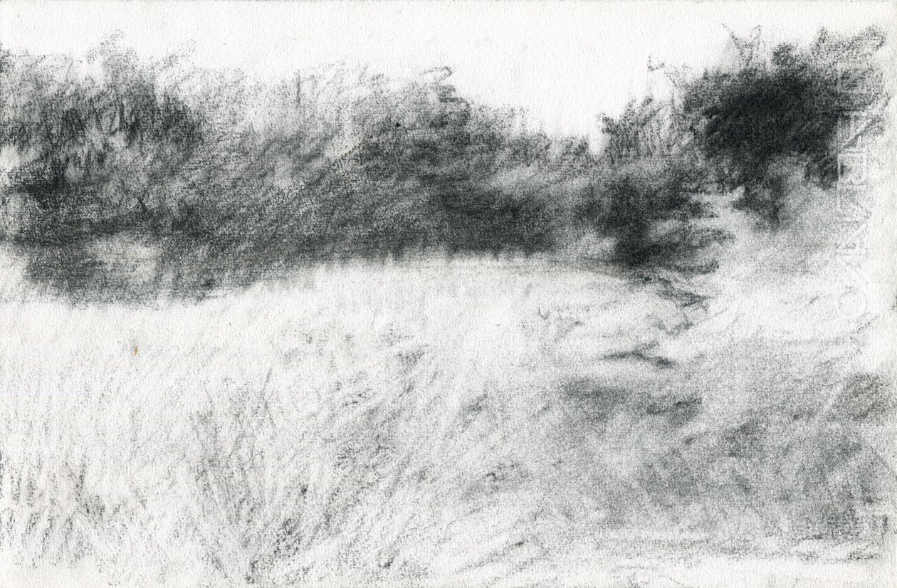 Paesaggio (2021) da Marina Falco
