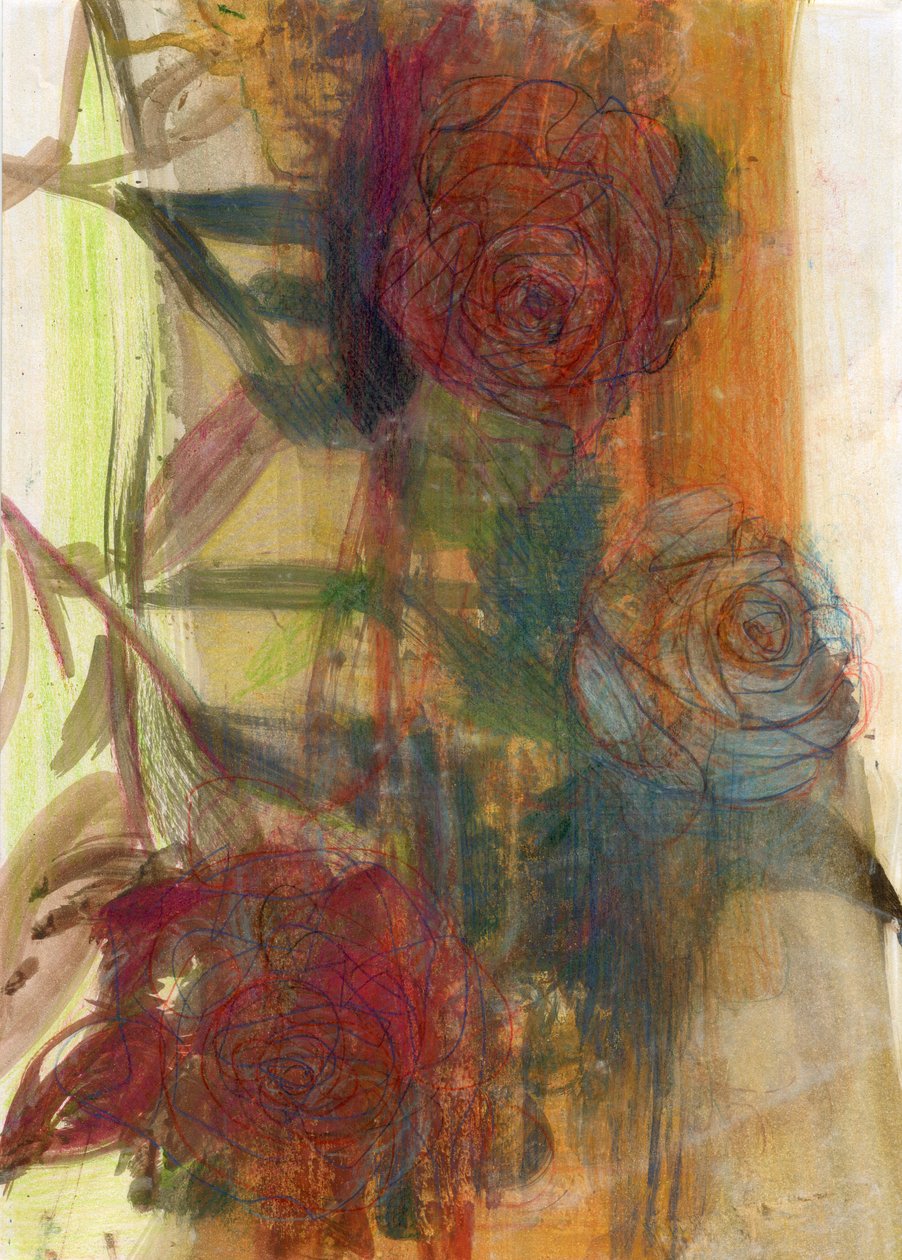 Rose da Marina Falco