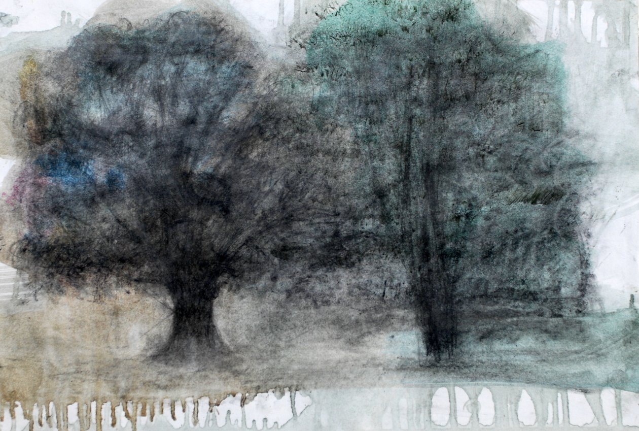 Due alberi (2023) da Marina Falco