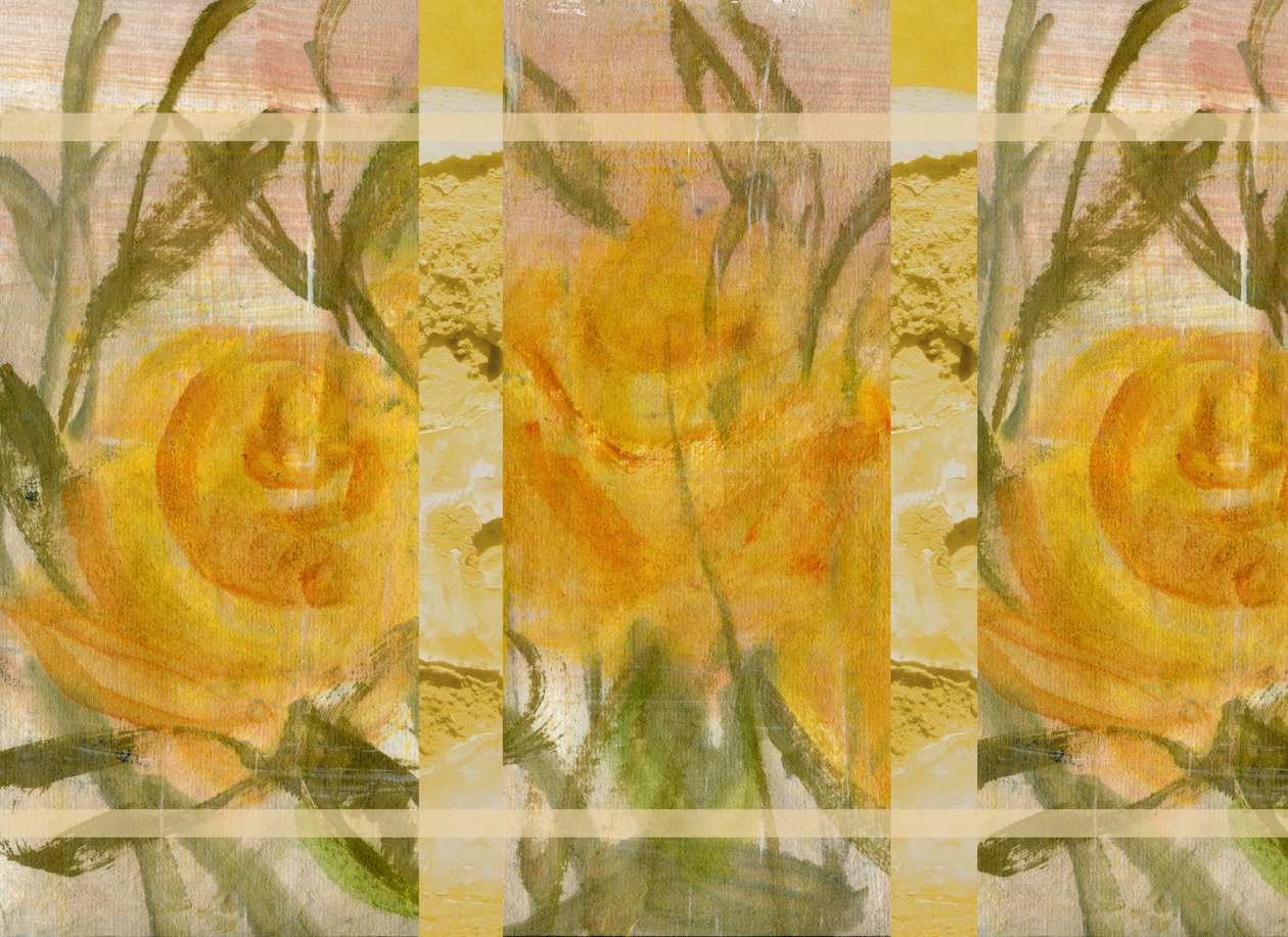 Fiori gialli 2 da Marina Falco