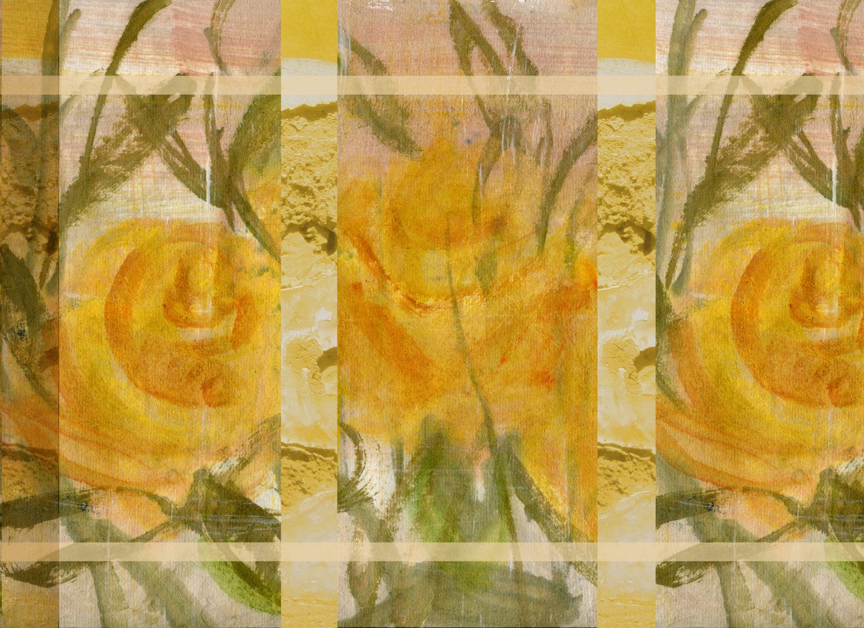 Fiori gialli 3 da Marina Falco