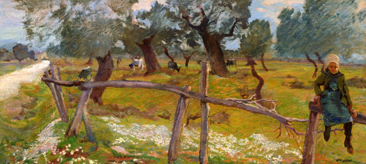 Uliveto con contadino da Mario Puccini