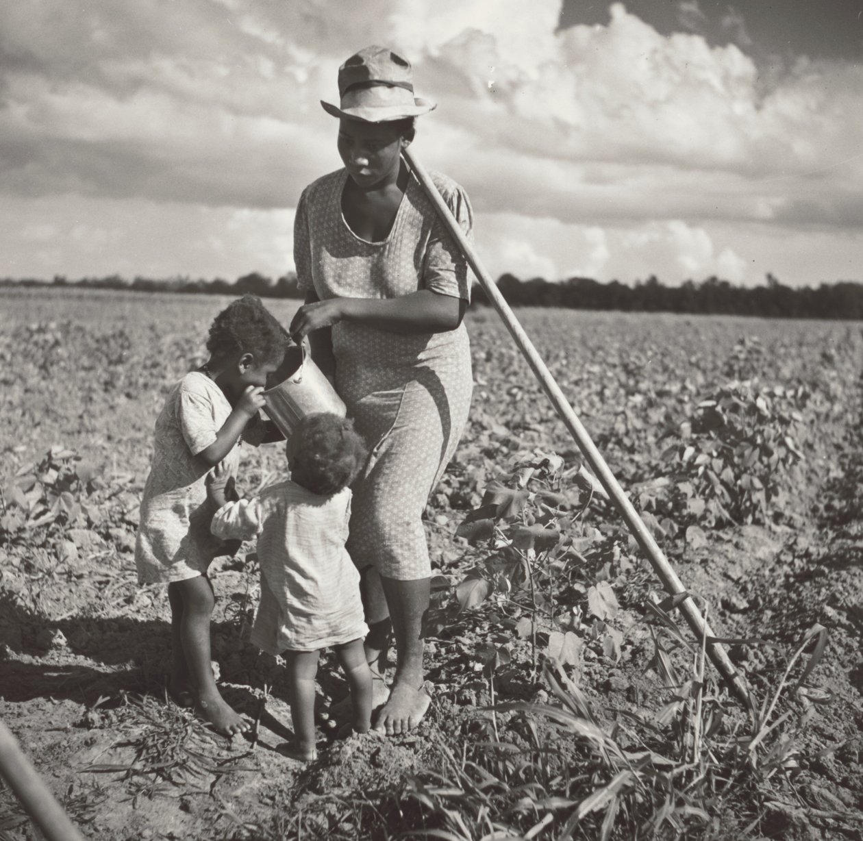Donna nera che dà da bere ai figli nel campo dove sta zappando il cotone in un progetto cooperativo FSA (piantagione Allen) da Marion Post Wolcott
