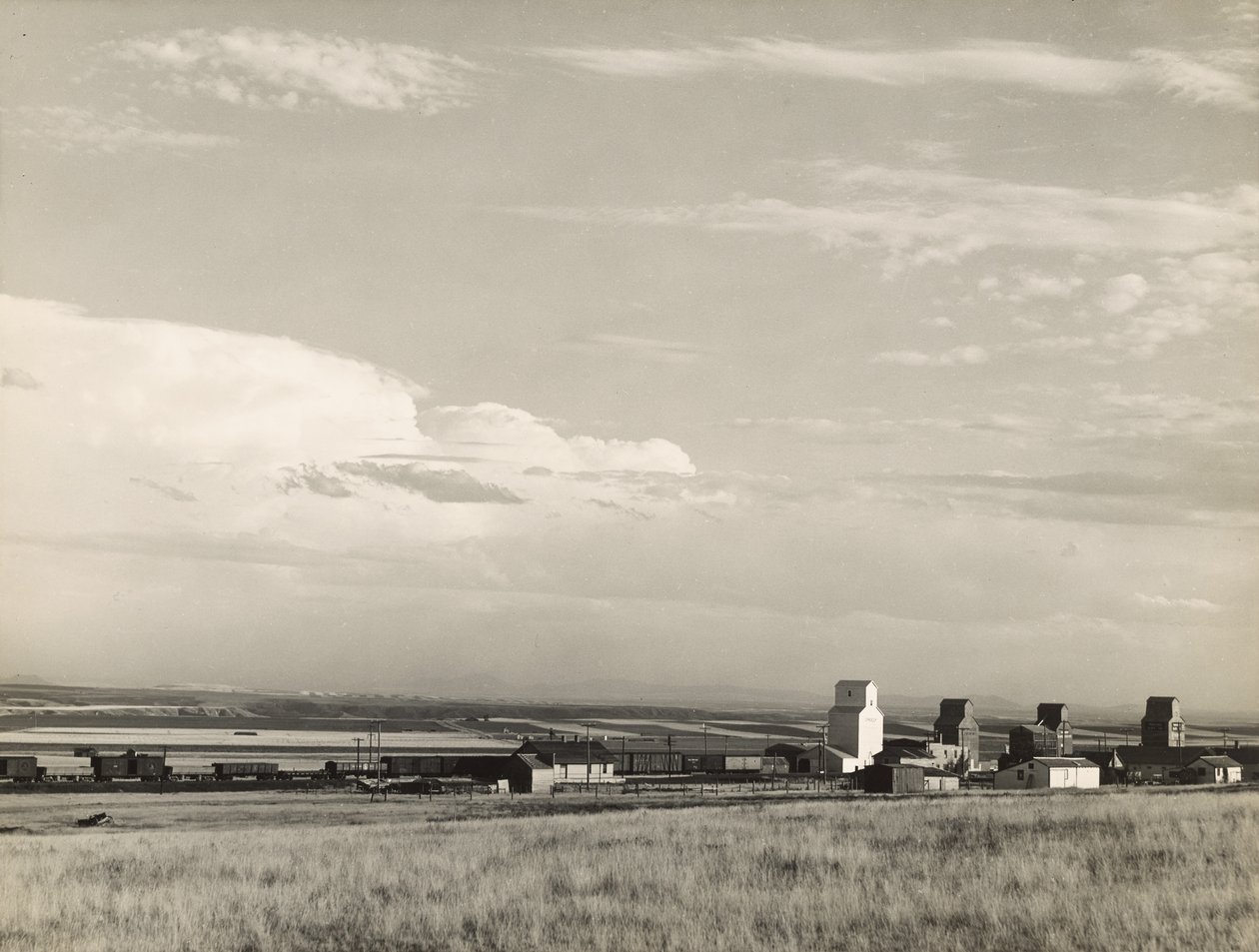 Elevatori di grano nel Midwest, "granaio degli Stati Uniti". / Grandi pianure, Carter, Montana da Marion Post Wolcott