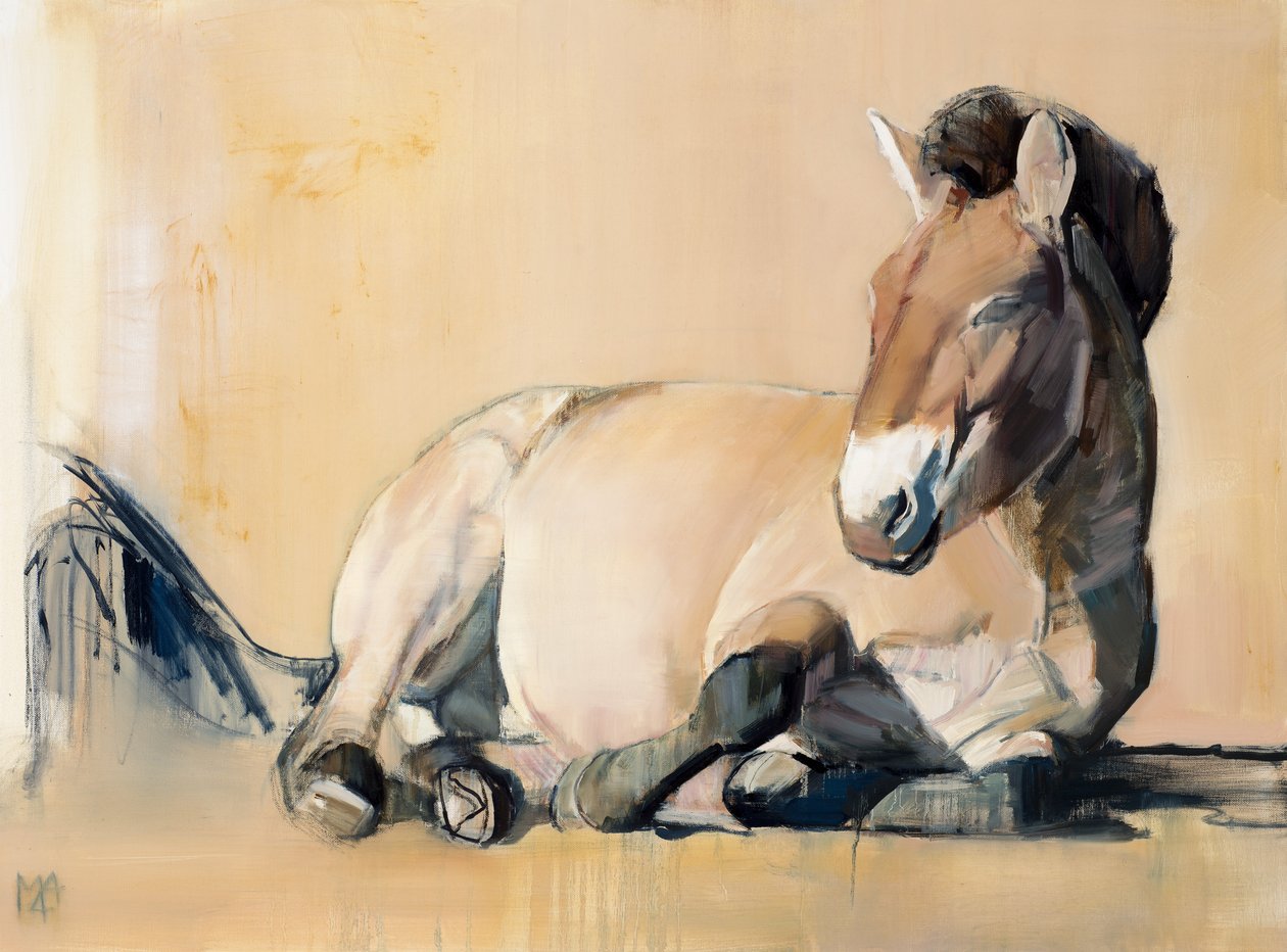 Plateau Sun (Przewalski), 2014 da Mark Adlington