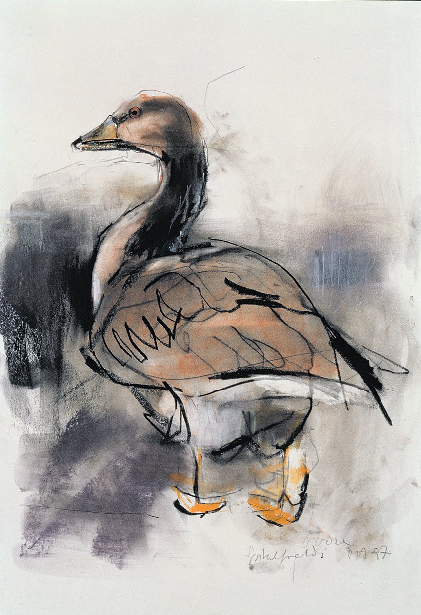 Oca di Spitalfields, 1997 da Mark Adlington