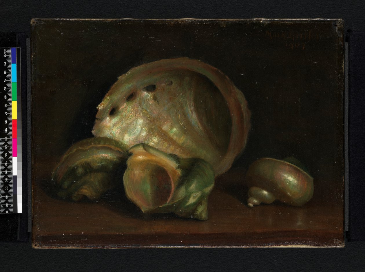 Conchiglie, 1907 da Mark Gertler
