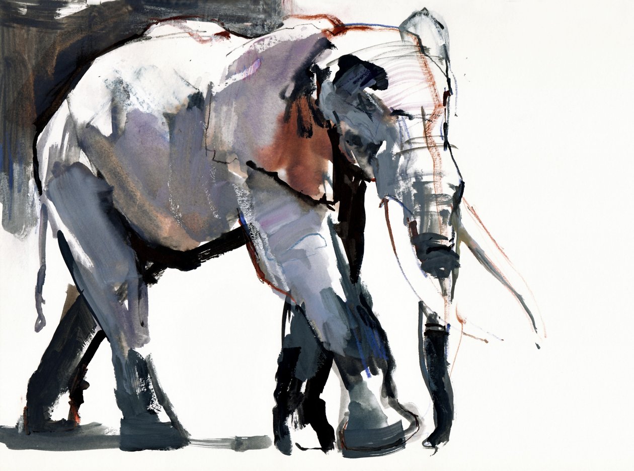 Elefante africano da Mark Adlington