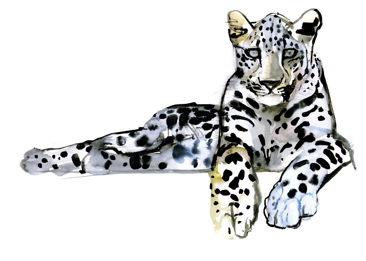Leopardo arabo, 2008 da Mark Adlington
