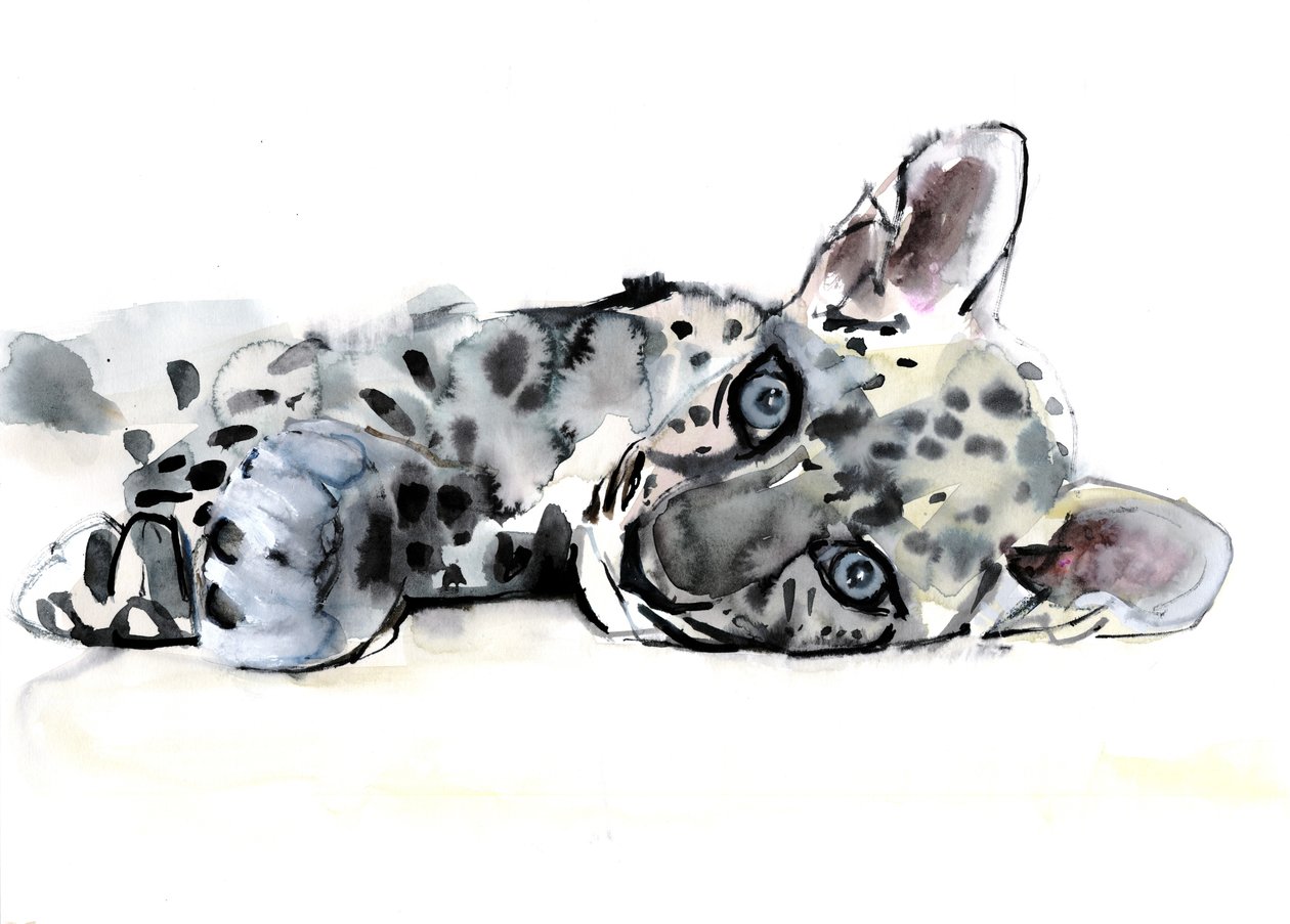 Cucciolo di leopardo arabo, 2008 da Mark Adlington