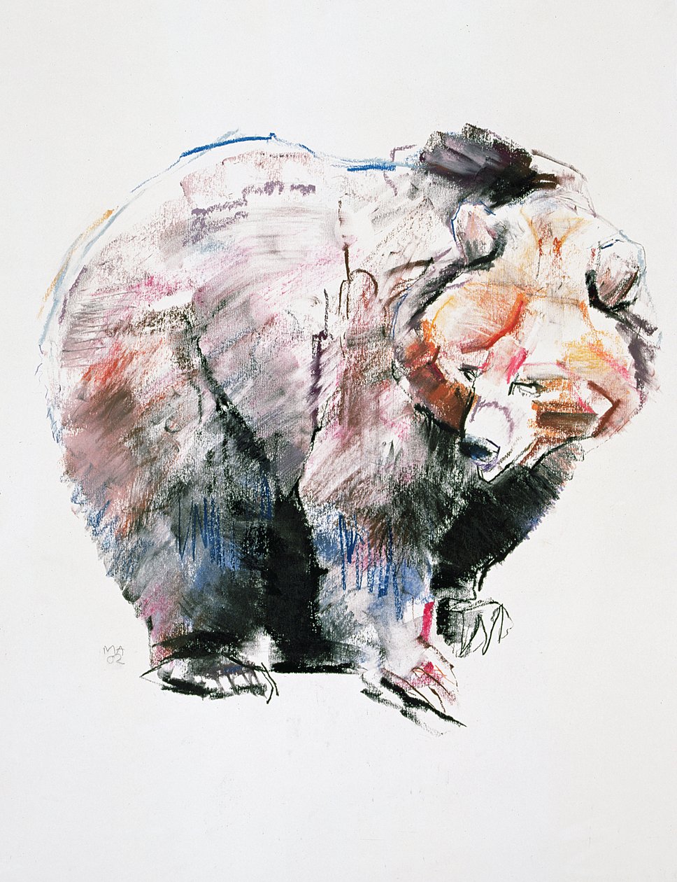 Orso da Mark Adlington