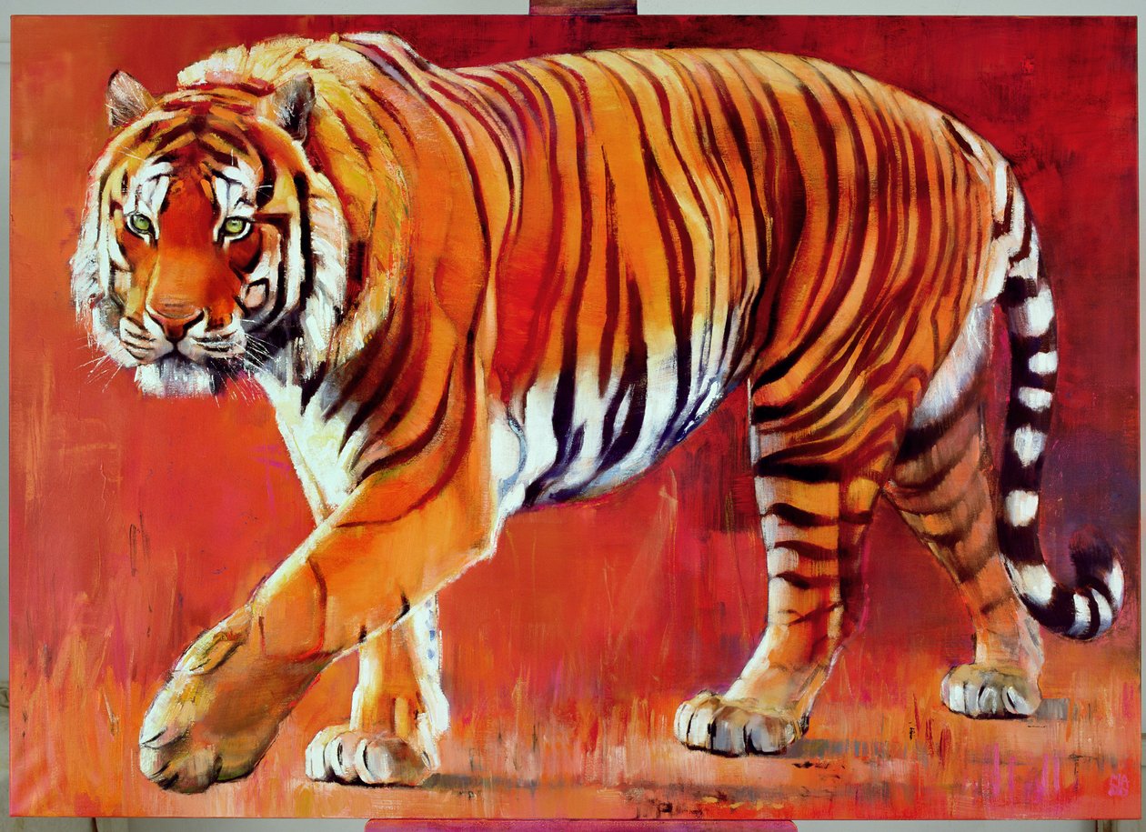 Tigre del Bengala da Mark Adlington