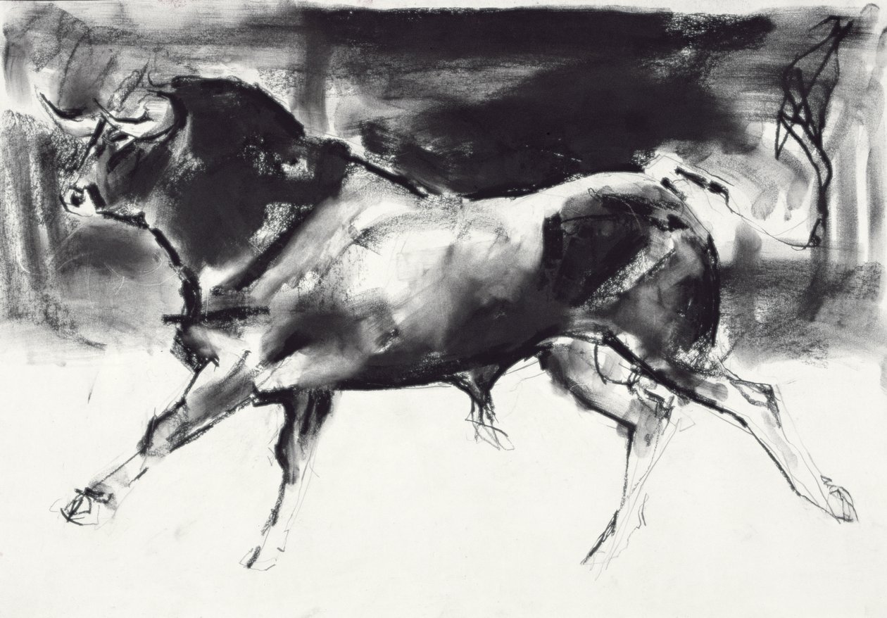 Toro nero da Mark Adlington