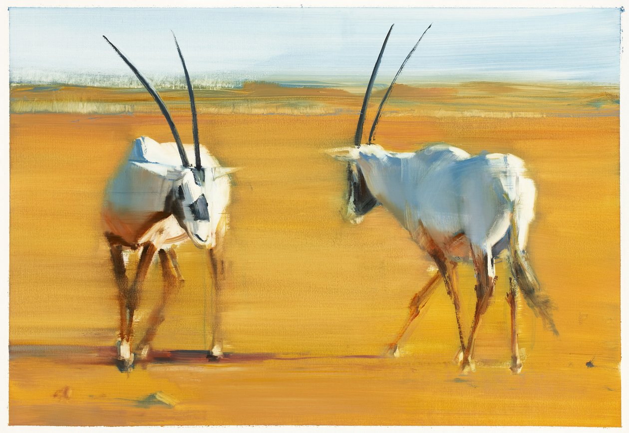 Oryx arabi in cerchio, 2010 da Mark Adlington