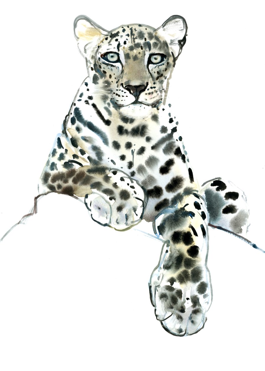 Direct (Leopardo Arabo), 2015 da Mark Adlington