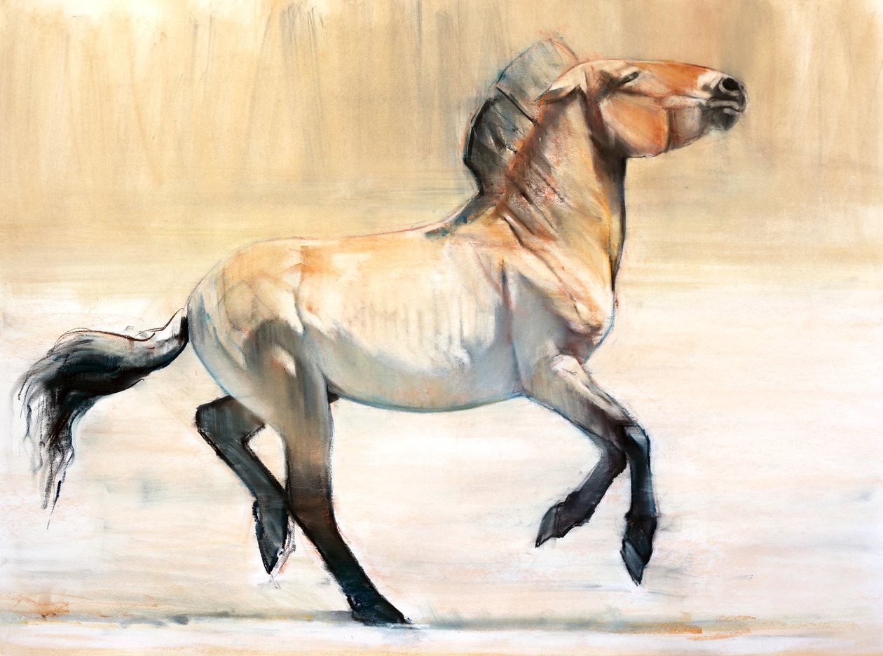 Equus (Przewalski) da Mark Adlington