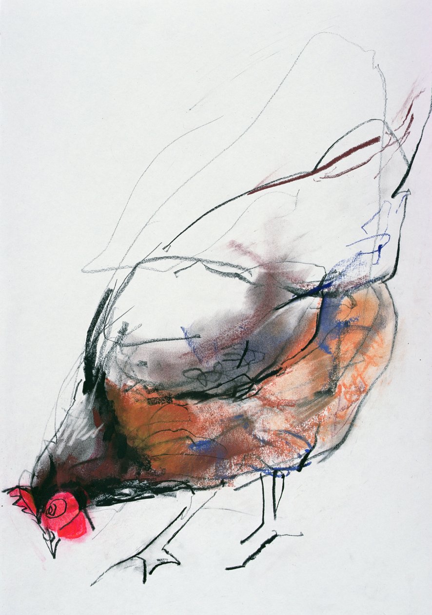 Gallina che mangia, Trasierra, 1998 da Mark Adlington