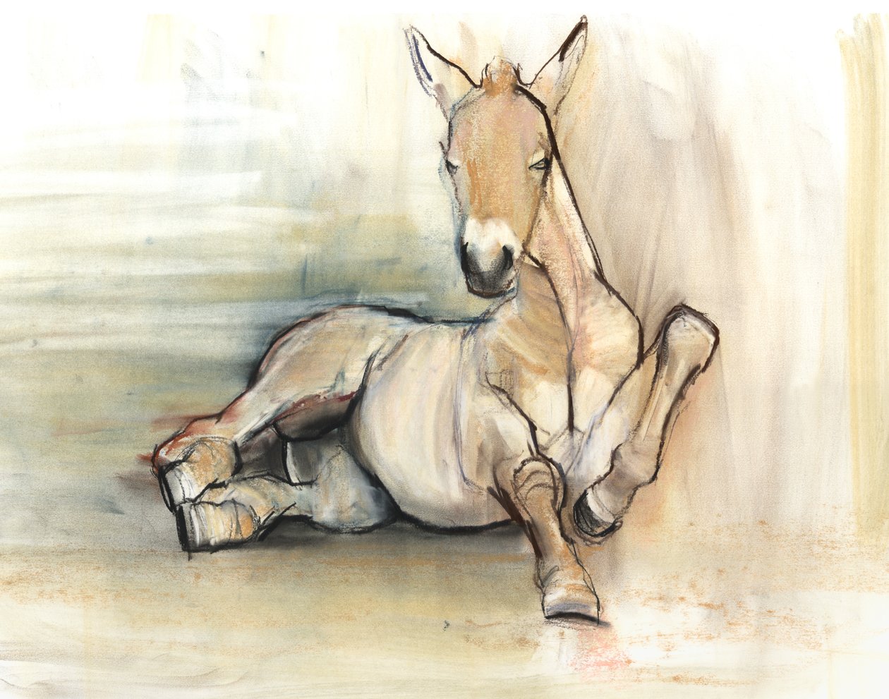 Puledro, 2012 da Mark Adlington