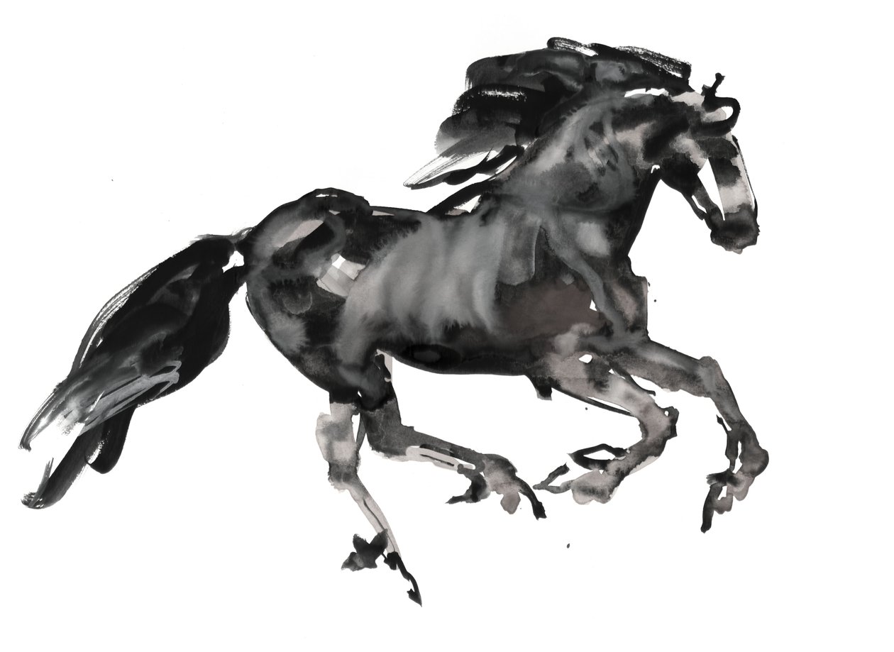 Galoppo, 2015 da Mark Adlington
