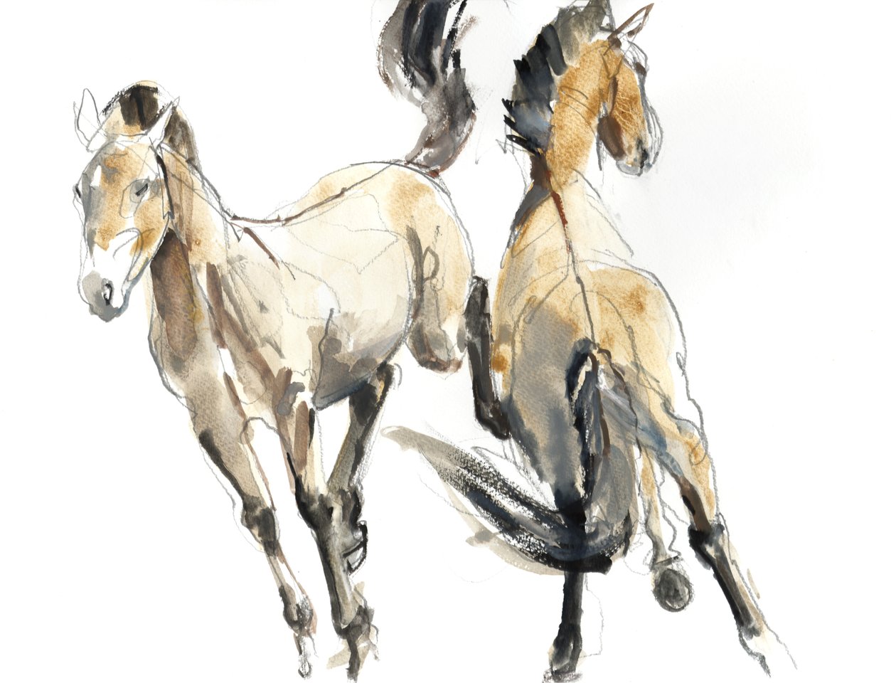 Cavalcare, 2013 da Mark Adlington