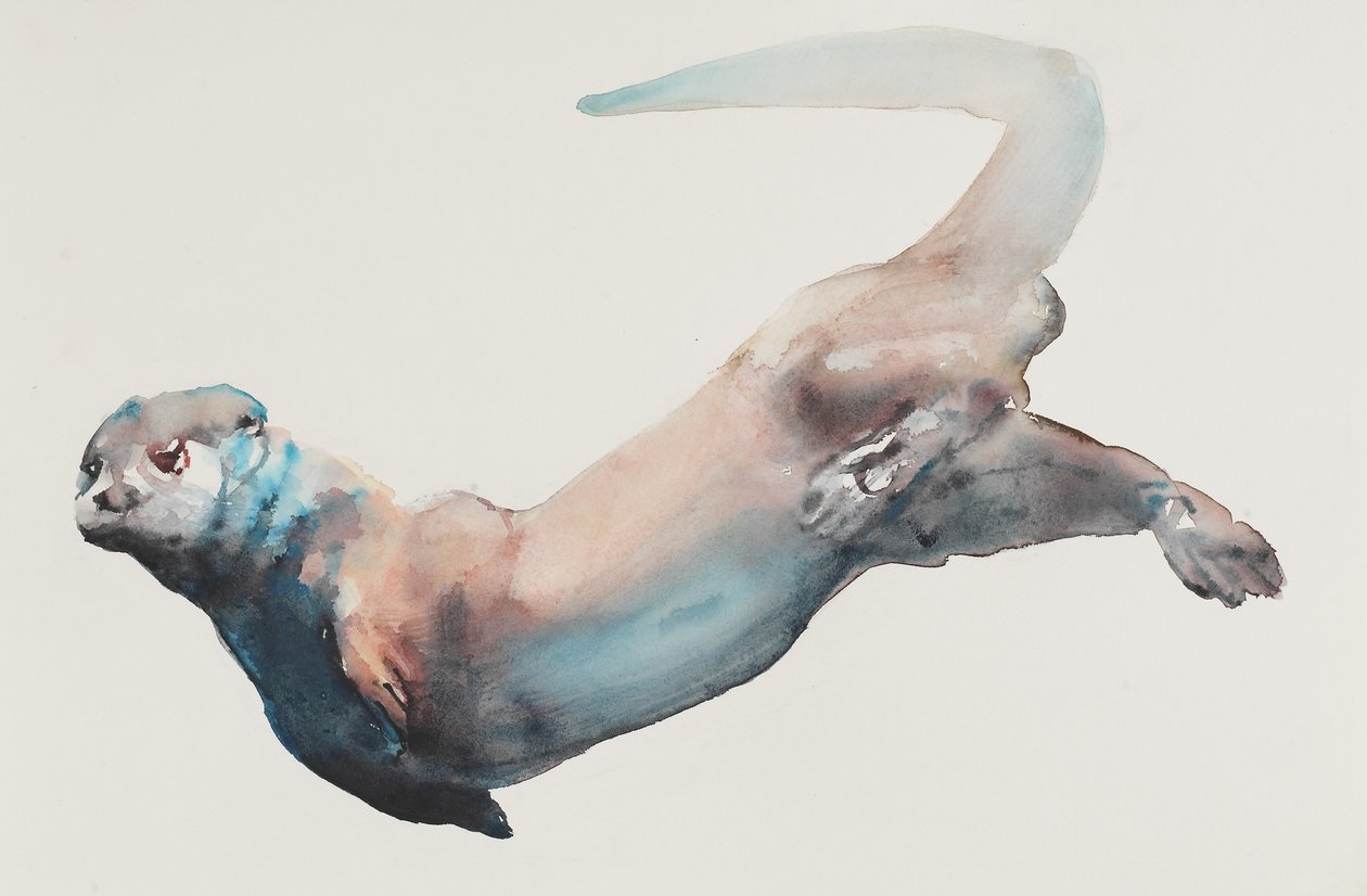 Caccia in profondità da Mark Adlington