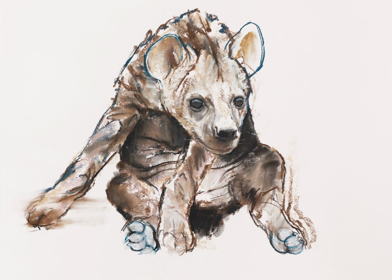 Cucciolo di iena (testa bassa), 2019 da Mark Adlington