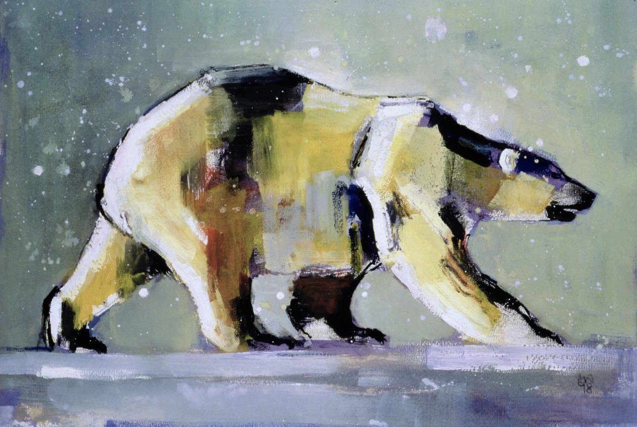 Orso polare da Mark Adlington