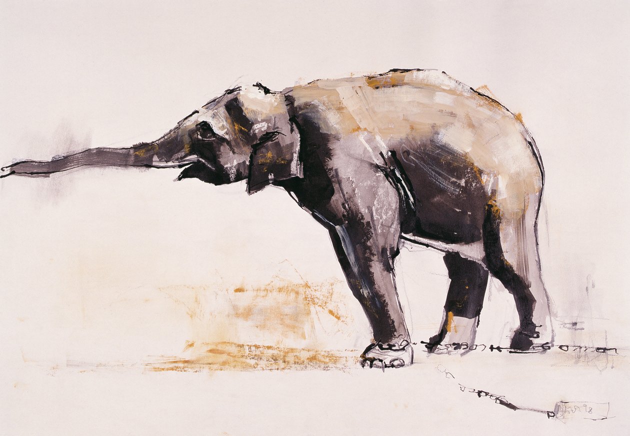Elefante indiano, Khana da Mark Adlington