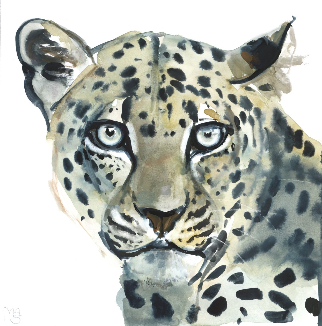 Leopardo, 2015 da Mark Adlington
