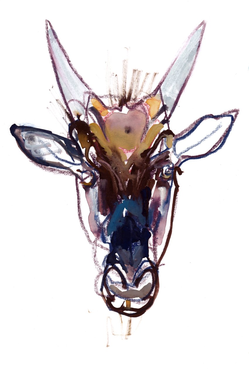 Piccolo diavolo (gnu), 2022 da Mark Adlington