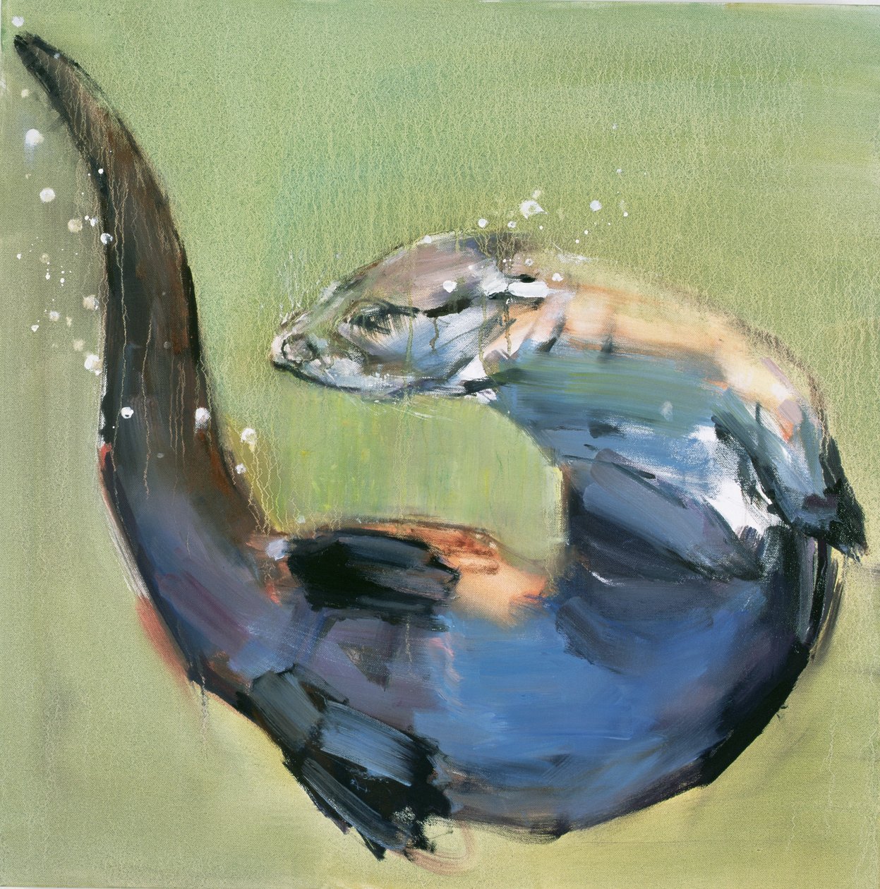 Lontra, 2003 da Mark Adlington