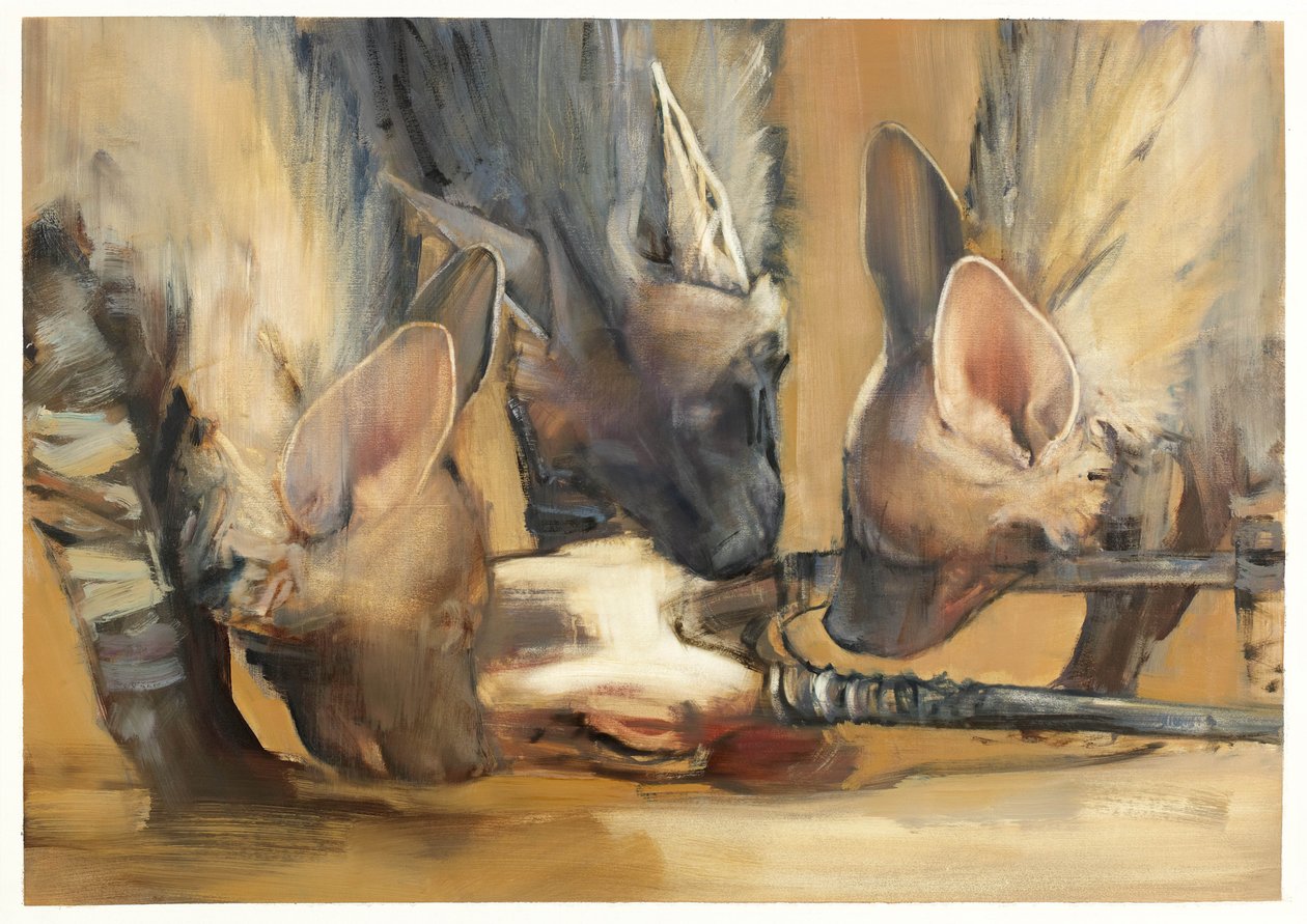 Attacco del branco (giovani iene striate) da Mark Adlington