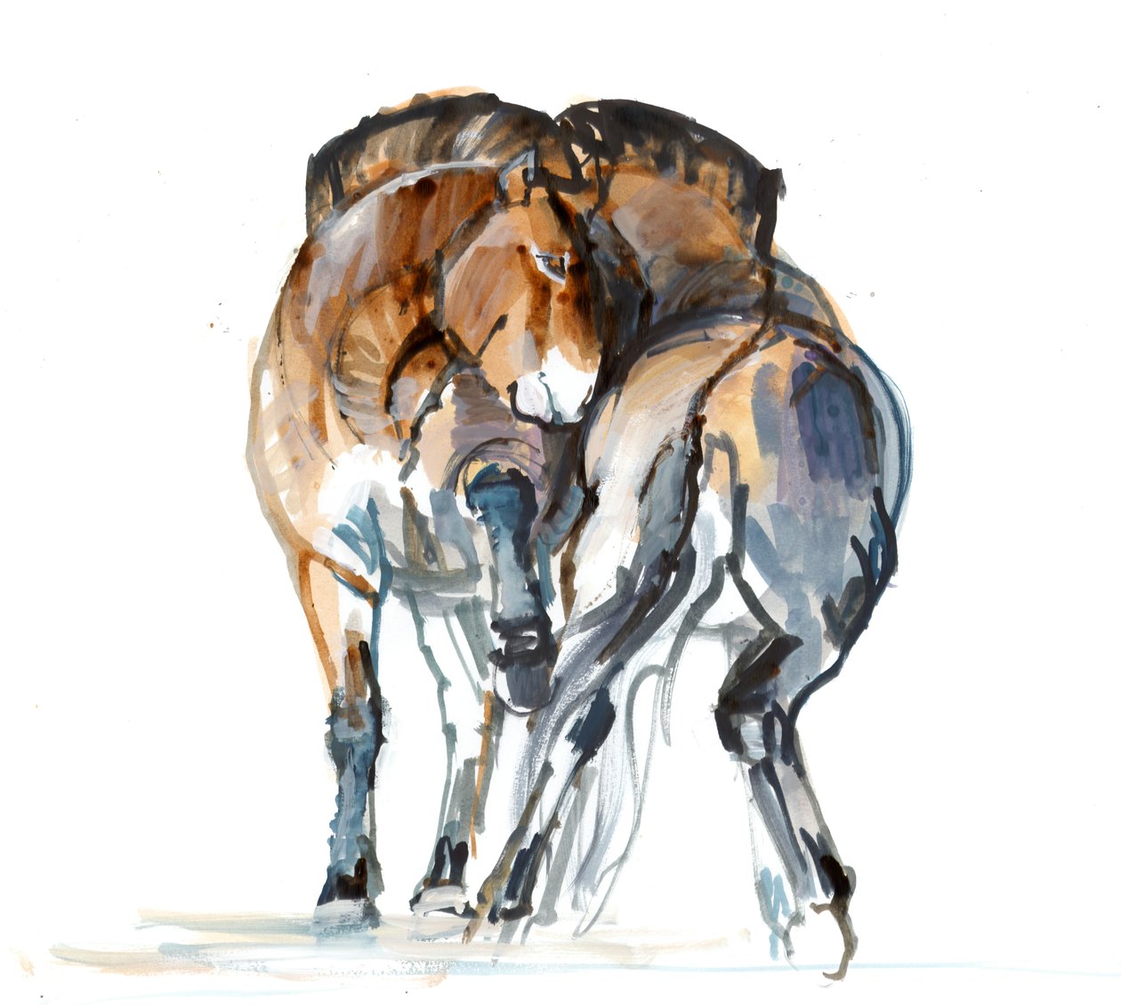 Danza del potere (Przewalski), 2013 da Mark Adlington