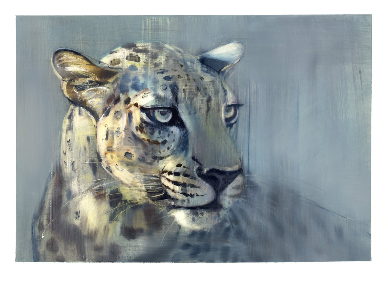 Predatore II (Leopardo Arabo), 2009 da Mark Adlington
