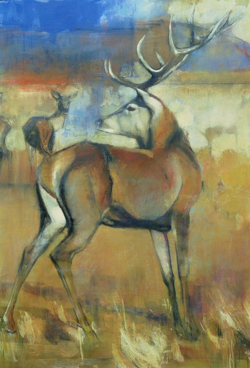 Cervo Rosso (dettaglio) da Mark Adlington