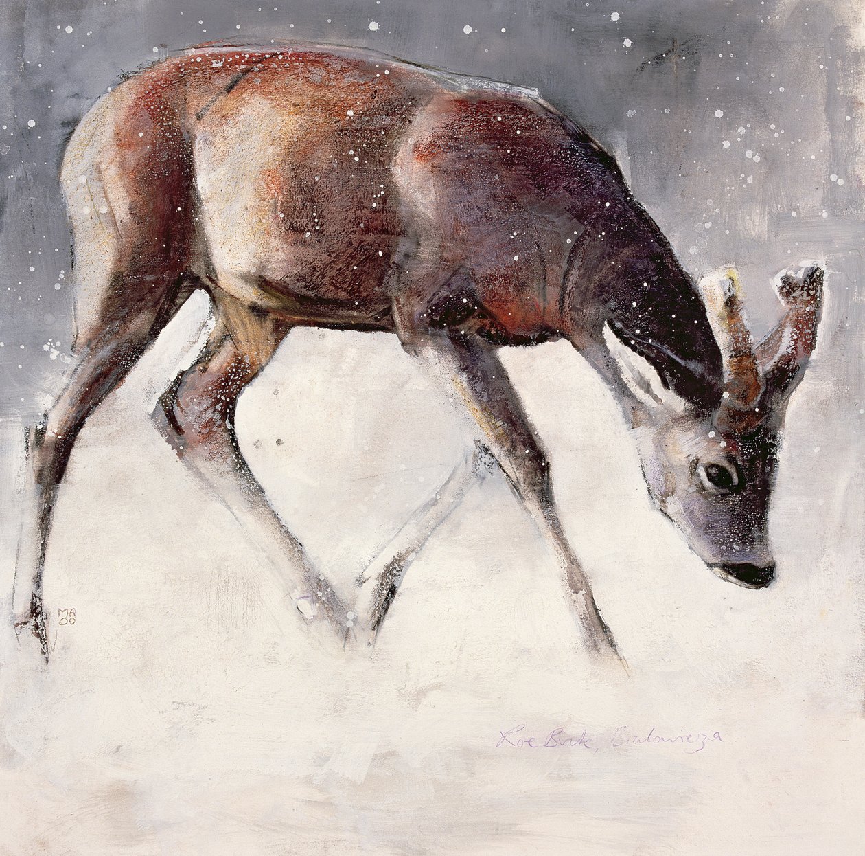 Capriolo, Inverno, 2000 da Mark Adlington