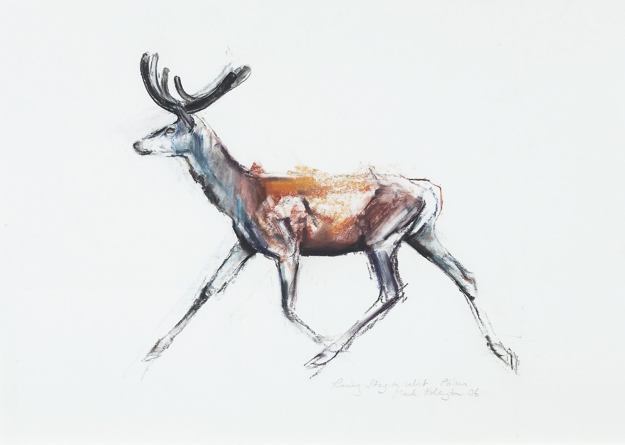 Cervo in corsa con velluto, Polsen, 2006 da Mark Adlington