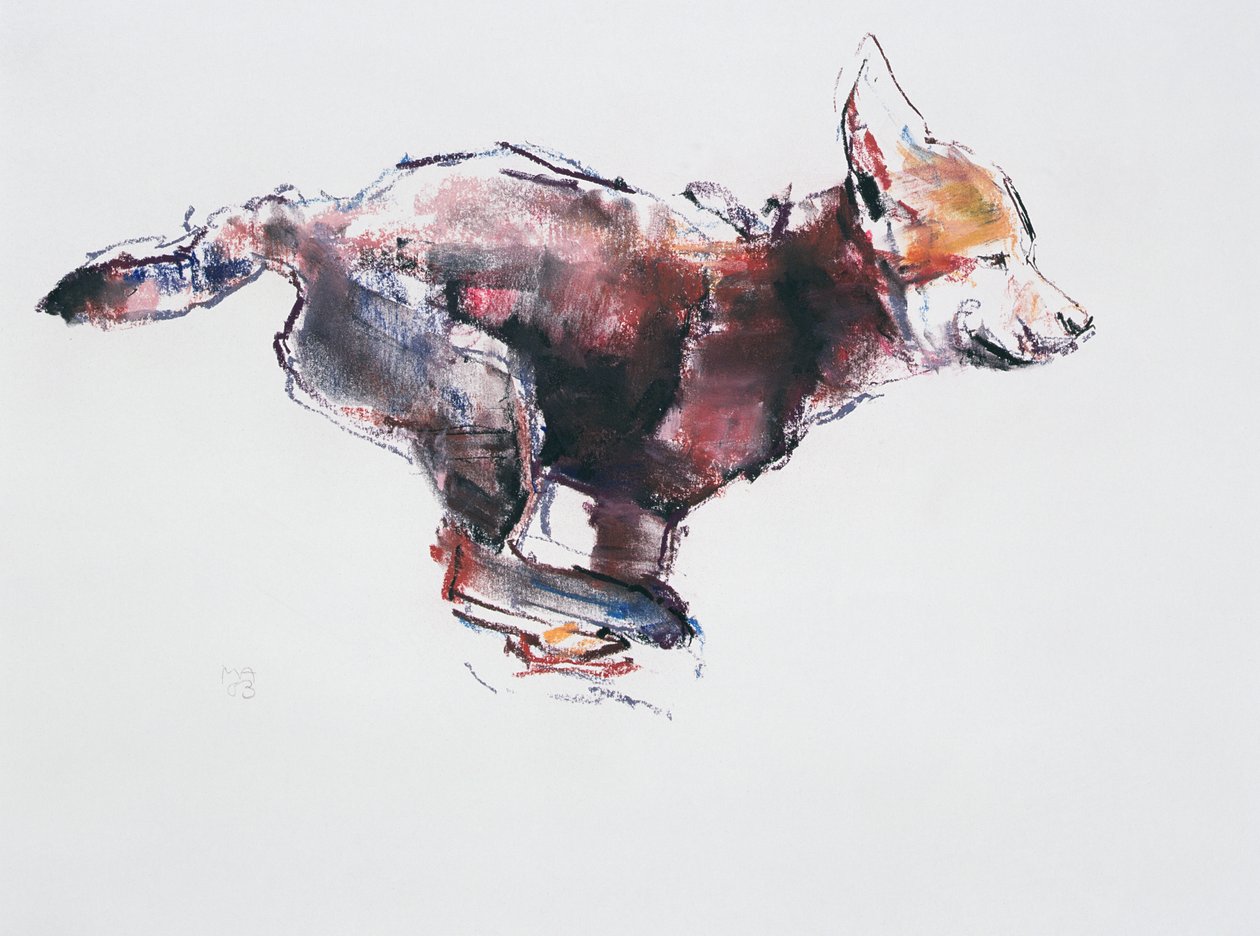 Cucciolo di lupo in corsa da Mark Adlington