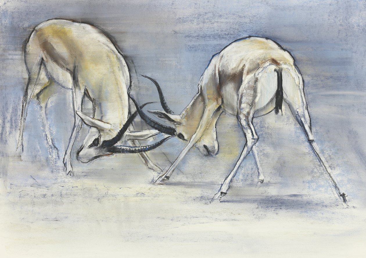 Gazzelle della sabbia, 2009 da Mark Adlington