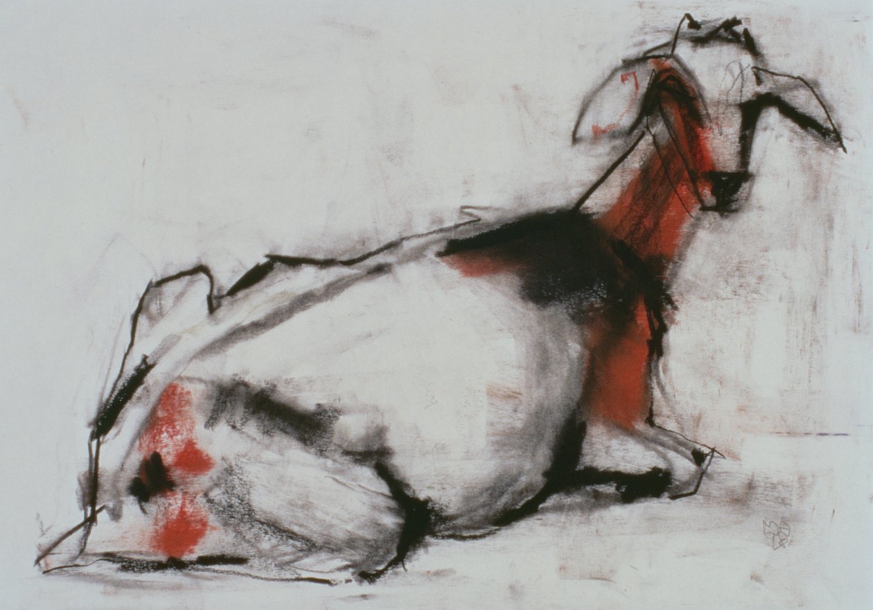 Capra seduta, 1998 da Mark Adlington