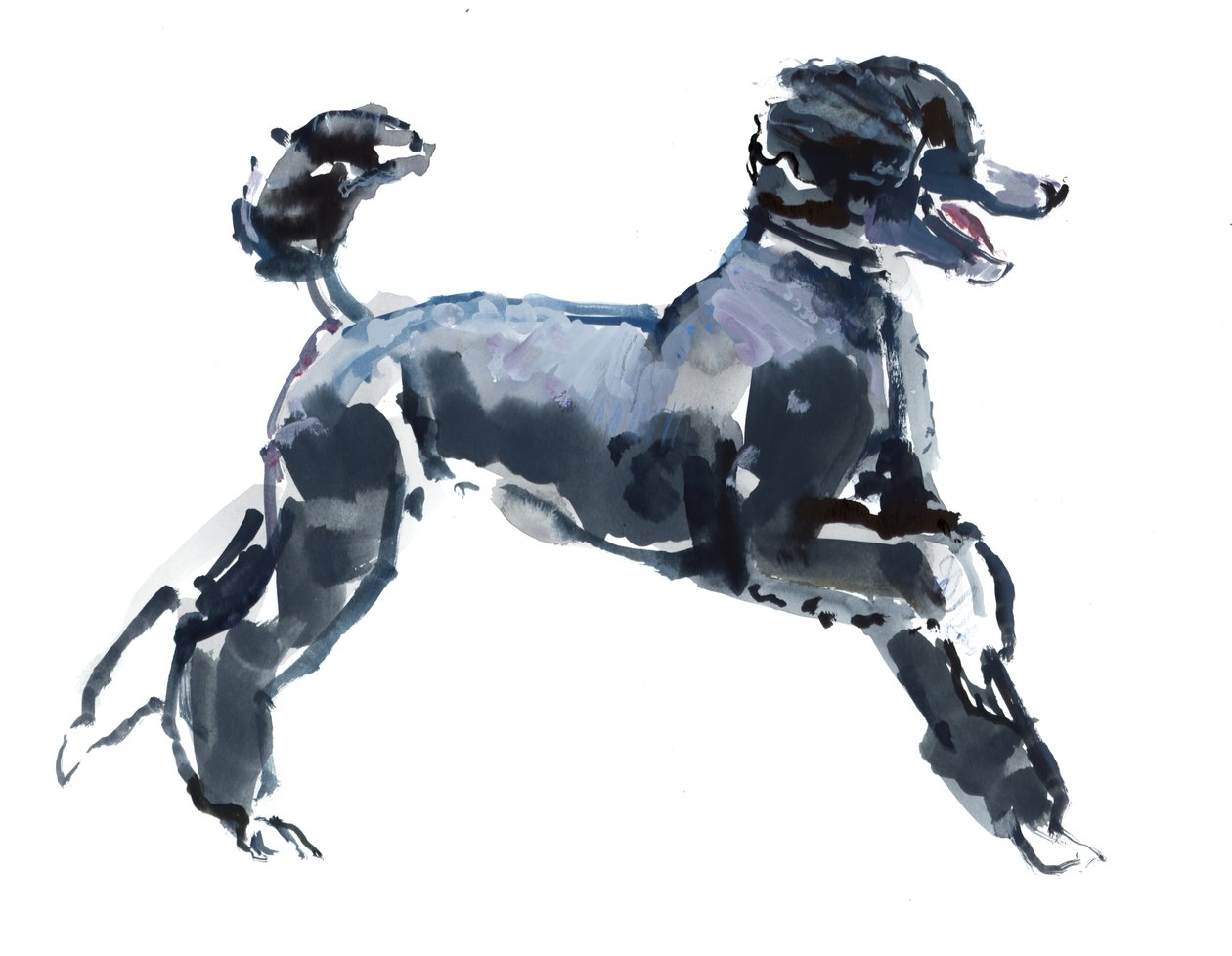 Classe pura, 2013, (acquerello e gouache su carta) da Mark Adlington