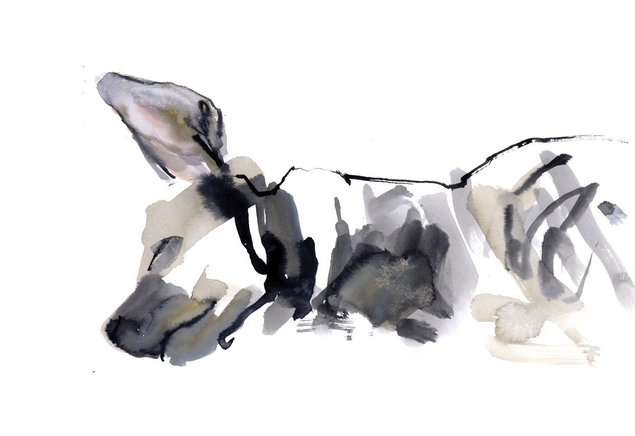 Iena che dorme, 2010 da Mark Adlington
