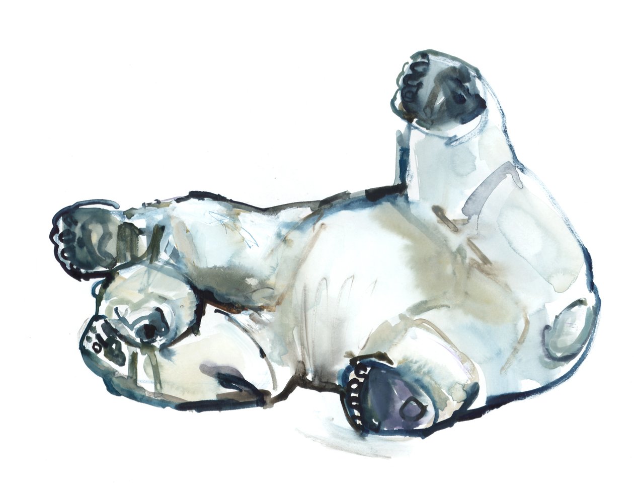 Sfregamento sulla neve (Orso polare), 2013 da Mark Adlington
