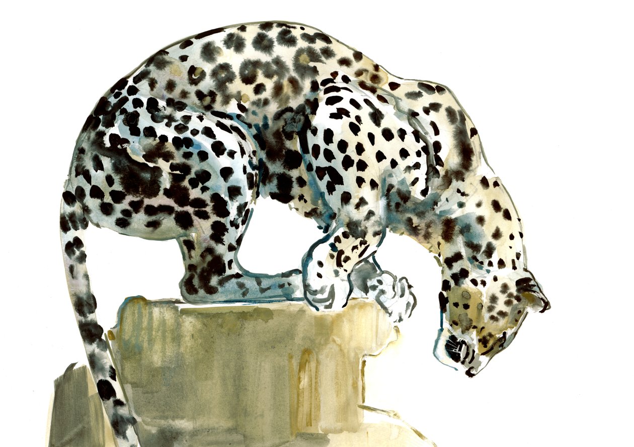 Spine (Leopardo Arabo), 2015 da Mark Adlington