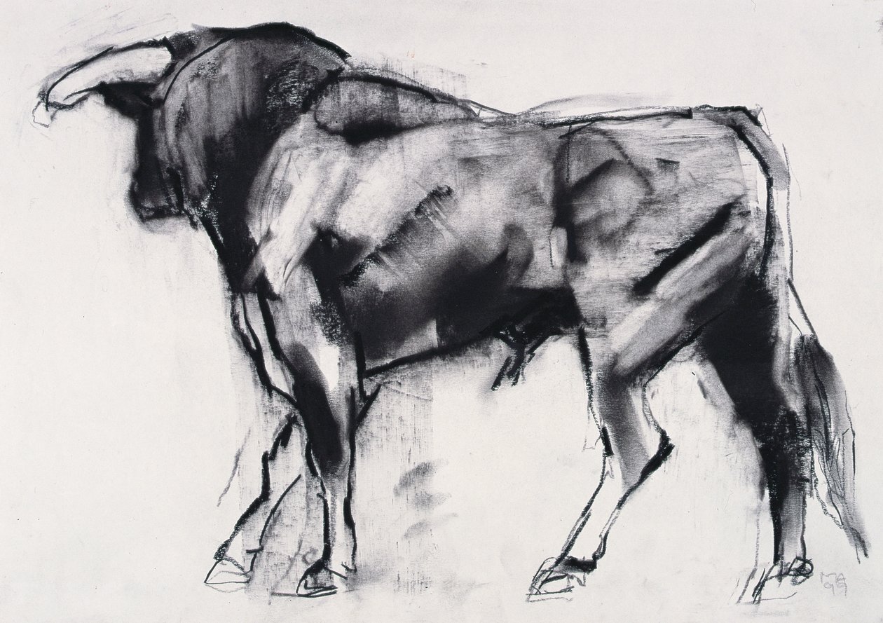 Toro Azul, studio da Mark Adlington